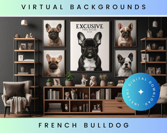 French Bulldog Zoom Teams Google Backgrounds